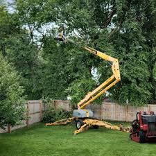 Best Tree Removal  in Sloatsburg, NY
