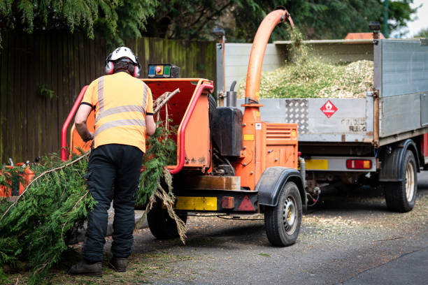 Best Utility Line Clearance  in Sloatsburg, NY