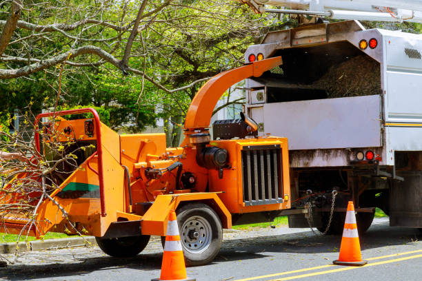 Best Stump Grinding and Removal  in Sloatsburg, NY