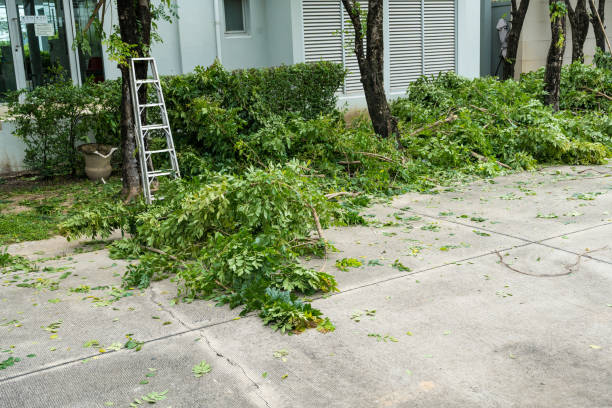 Best Emergency Tree Removal  in Sloatsburg, NY